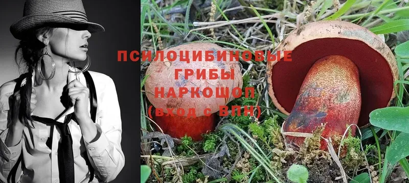 Галлюциногенные грибы MAGIC MUSHROOMS  Орск 